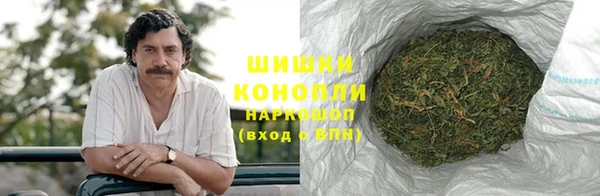 таблы Гусев