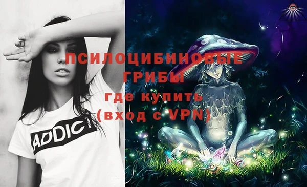 молекула духа Вязники
